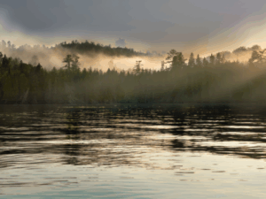 Water Supply & Groundwater Loss: What’s at Stake This Summer